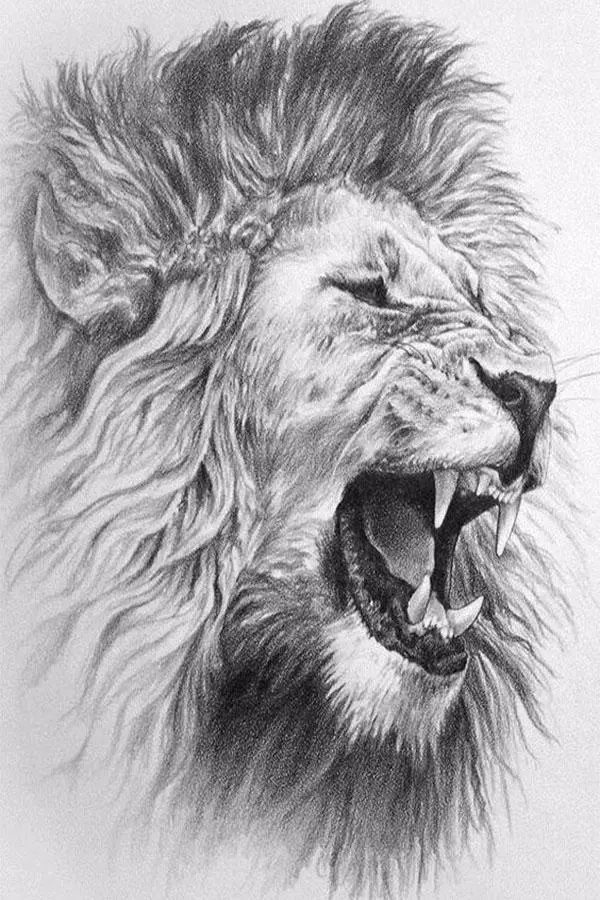 Tải xuống APK Wonderful Lion Face Wallpaper cho Android