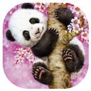 APK Cute PANDA & Friends Wallpaper