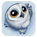 APK Cute OWL Wallpaper