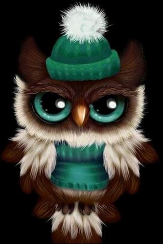  Cute  OWL  Wallpaper  for Android  APK Download