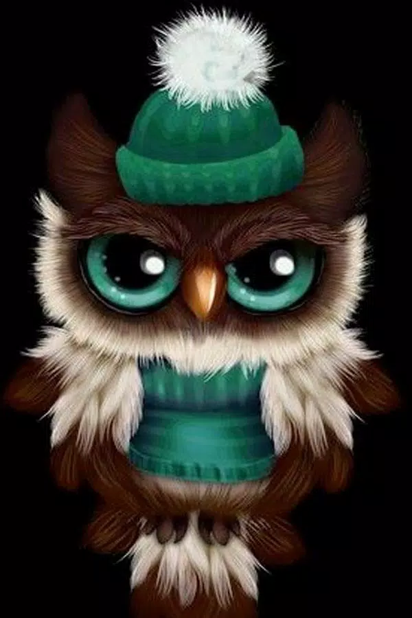 Cute OWL Wallpaper APK pour Android Télécharger
