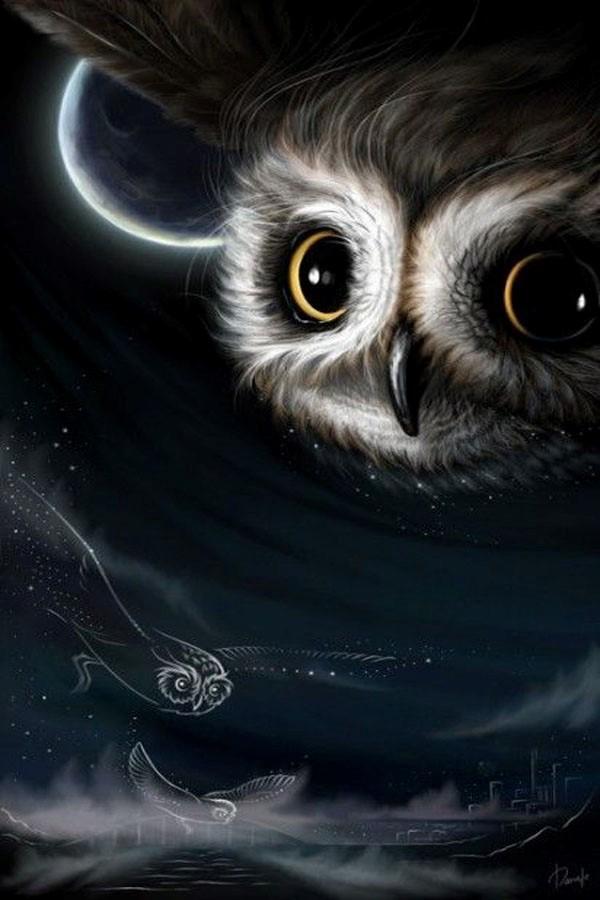  Cute  OWL  Wallpaper  for Android  APK Download