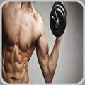 Musculation
