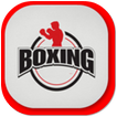 Boxing Workout
