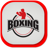 Boxing Workout ikona