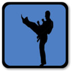 Taekwondo icon