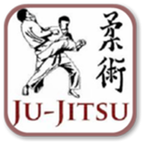 judo ícone
