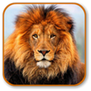 Aslan Sesi APK