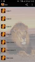 Son Lion Affiche