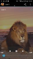 Lion Sounds syot layar 1