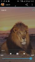 Lion Sounds syot layar 2