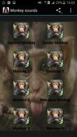 Affe klingt Plakat