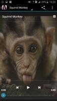 Monkey Sounds syot layar 1