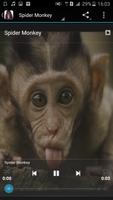 Maymun sesleri Ekran Görüntüsü 2