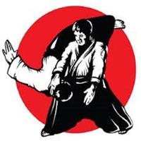 aikido Poster