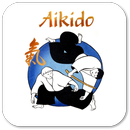 APK Aikido