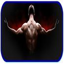 Programmes Musculations APK