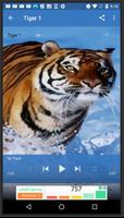 Tiger Sounds screenshot 2