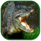 crocodile sounds アイコン