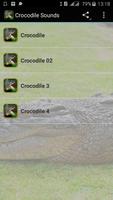 crocodile sounds ポスター