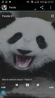 Panda Sounds Screenshot 1