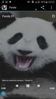 1 Schermata Panda Sounds