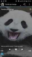 2 Schermata Panda Sounds