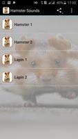 Hamster Sounds Affiche