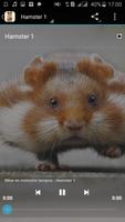 Hamster Sounds capture d'écran 1