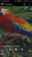 Parrot Sound скриншот 1