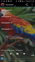 Parrot Sound скриншот 2