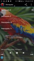Parrot Sound imagem de tela 2