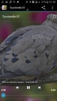Dove Sounds screenshot 1