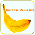 Increase Penis Size