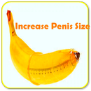 ペニスのサイズを大きくします APK