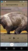 Dinosaur Sounds screenshot 1