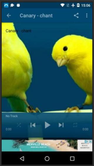 TÉLÉCHARGER CHANT CANARI FLAWTA MP3 GRATUIT CANARI TÉLÉCHARGER MP3 GRATUIT FLAWTA CHANT