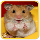 Hamster Sounds 아이콘