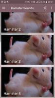 Hamster Sounds Affiche