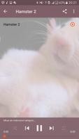 Hamster Sounds 스크린샷 2