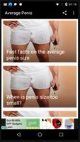 Average Penis plakat