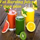 Icona Fat Burning Juice -7days plan