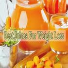 Juicing Recipes For Weight Loss-30 Days Plan simgesi