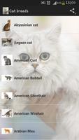 Cat breeds ポスター
