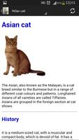 Cat breeds スクリーンショット 2