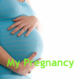 My Pregnancy icône