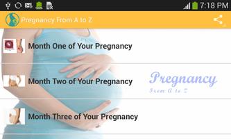 My Pregnancy poster