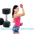Dumbbell Exercises ikon