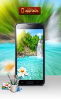 Paradise Wallpapers Cartaz