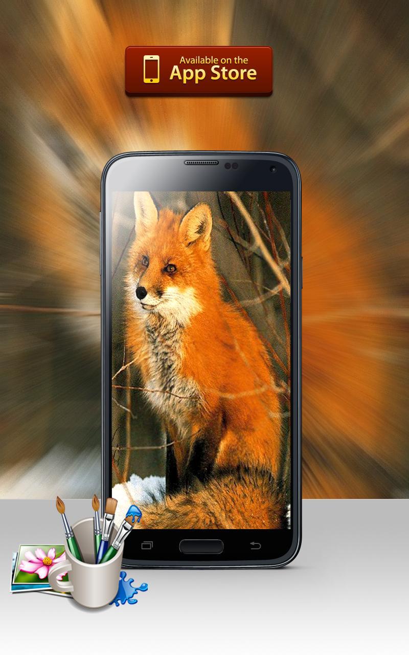 Fox android. Лис на андроид. Лиса загружается. Лиса загрузка. Темы для телефона андроид Fox.